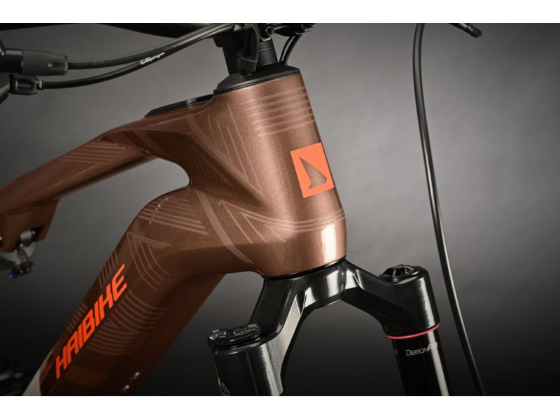 Horské elektrokolo Haibike LYKE CF 10