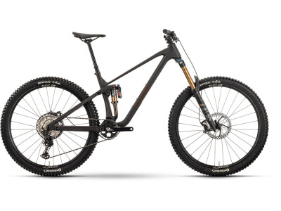 Horské kolo Raymon Rokua 170 Ultra | carbon