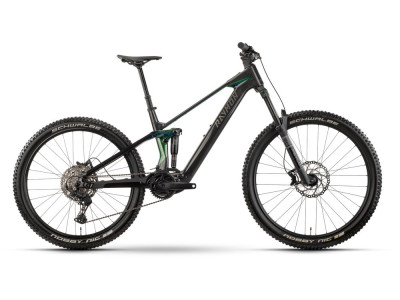Horské elektrokolo Raymon Tarok Comp | carbon/northern light