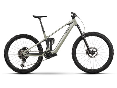 Horské elektrokolo Raymon Tarok Pro | titan silver