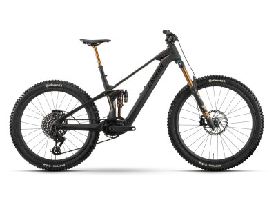 Horské elektrokolo Raymon Tarok Ultimate | carbon stealth
