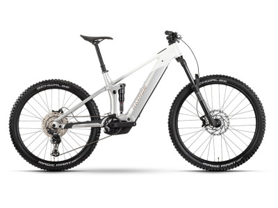 Horské elektrokolo Raymon Vamok Comp | silver / white