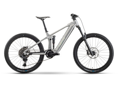 Horské elektrokolo Raymon Durok Pro | raw alloy