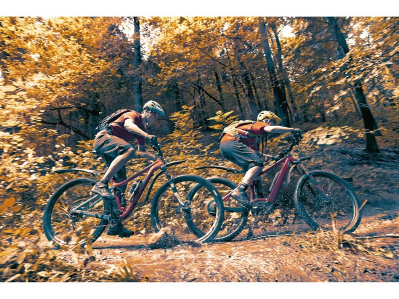 Zadní blatník SKS Germany X-Blade Dark 29"