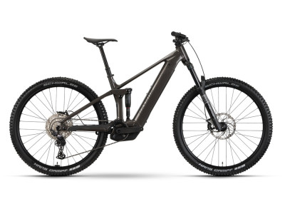 Horské elektrokolo Raymon Korak Pro | pipegrey / black