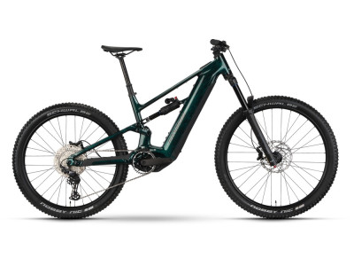 Horské elektrokolo Raymon Ravor LT Comp | jadegreen