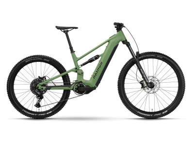 Horské elektrokolo Raymon Ravor Pure | resedagreen