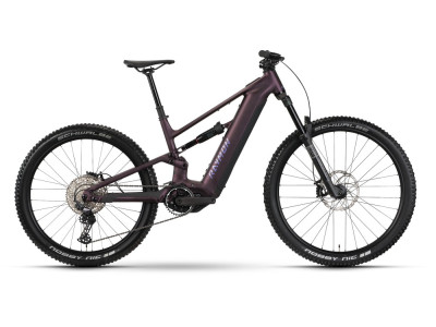 Horské elektrokolo Raymon Ravor Comp | floridplum