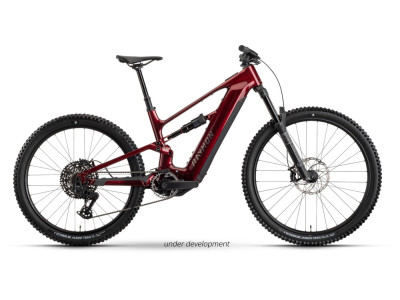 Horské elektrokolo Raymon Ravor Pro | rubyred