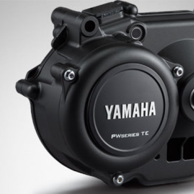 Motor Yamaha PW-TE